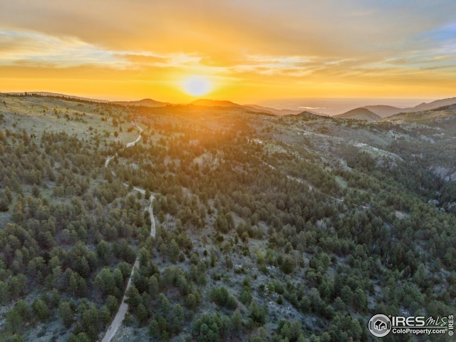609 Old Townsite Rd, Boulder, CO 80302