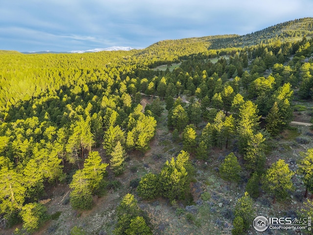 609 Old Townsite Rd, Boulder, CO 80302