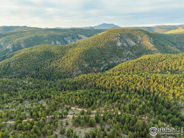 609 Old Townsite Rd, Boulder, CO 80302
