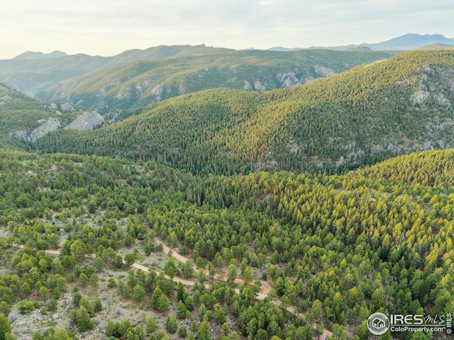 609 Old Townsite Rd, Boulder, CO 80302