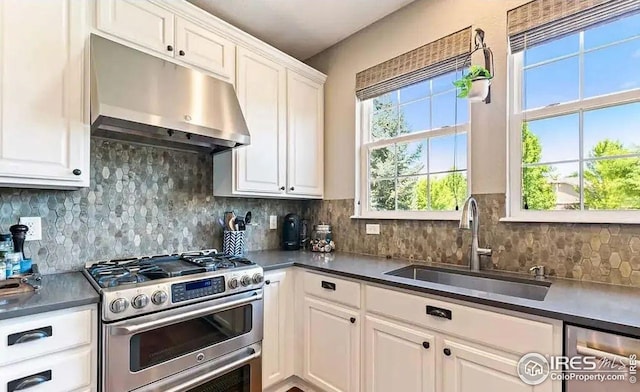 2639 County Fair Ln, Fort Collins, CO 80528 - kitchen featuring stainless steel appliances, under cabinet range hood, a sink, and white cabinetry