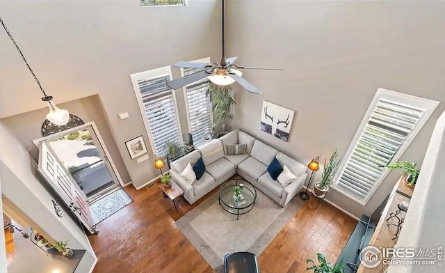 2639 County Fair Ln, Fort Collins, CO 80528 - living room featuring wood finished floors, a towering ceiling, ceiling fan, and baseboards