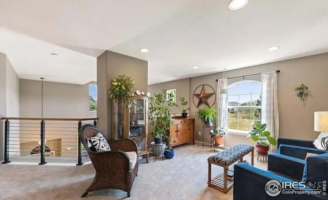 2639 County Fair Ln, Fort Collins, CO 80528 - living area with carpet and recessed lighting