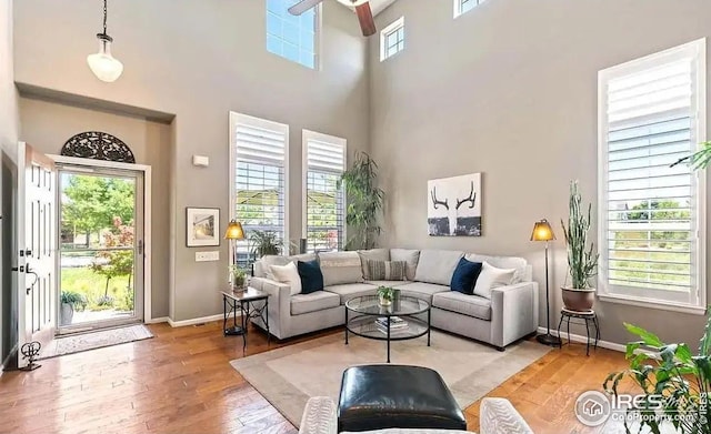 2639 County Fair Ln, Fort Collins, CO 80528 - living area featuring a high ceiling, hardwood / wood-style flooring, baseboards, and a ceiling fan