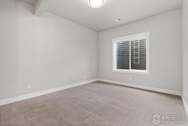 6325 Sanctuary Dr, Windsor, CO 80550