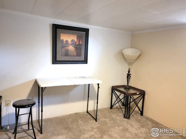 402 N Washington Ave, Fleming, CO 80728 - carpeted office space with crown molding