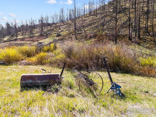 6651 W County Road 68c, Red Feather Lakes, CO 80545