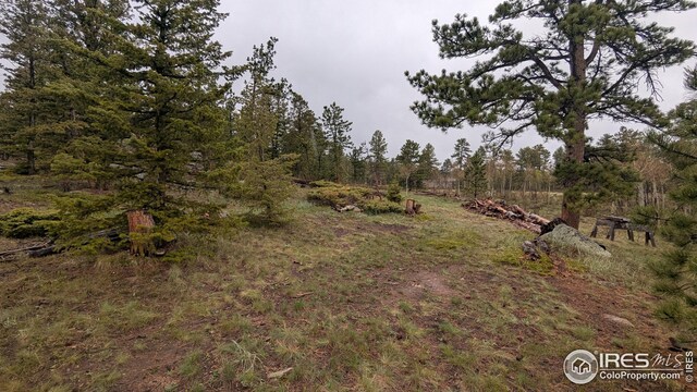 219 Yuki Dr, Red Feather Lakes, CO 80545