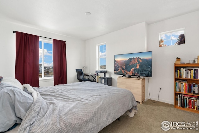 1958 Autumn Moon Dr, Windsor, CO 80550 - bedroom featuring multiple windows and carpet flooring