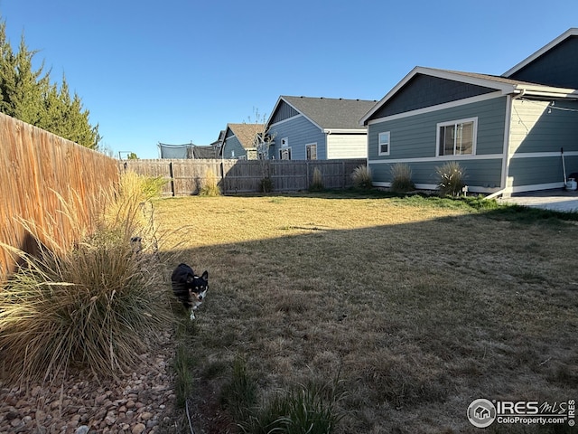 706 S Prairie Dr, Milliken, CO 80543 - view of yard