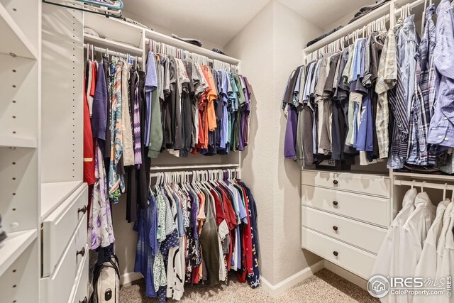 2447 E 100th Way, Thornton, CO 80229 - spacious closet featuring carpet floors