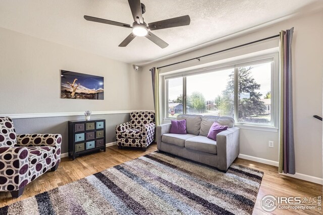 2447 E 100th Way, Thornton, CO 80229 - living area featuring plenty of natural light, wood finished floors, and baseboards