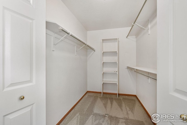 474 Radiant Dr, Loveland, CO 80538 - walk in closet with carpet flooring