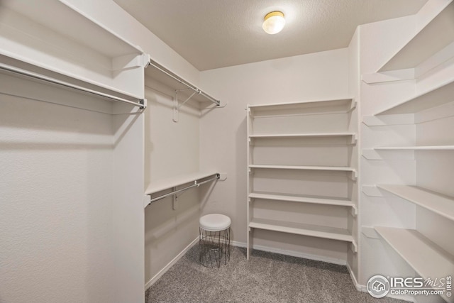 1427 Reeves Dr, Fort Collins, CO 80526 - walk in closet featuring carpet floors
