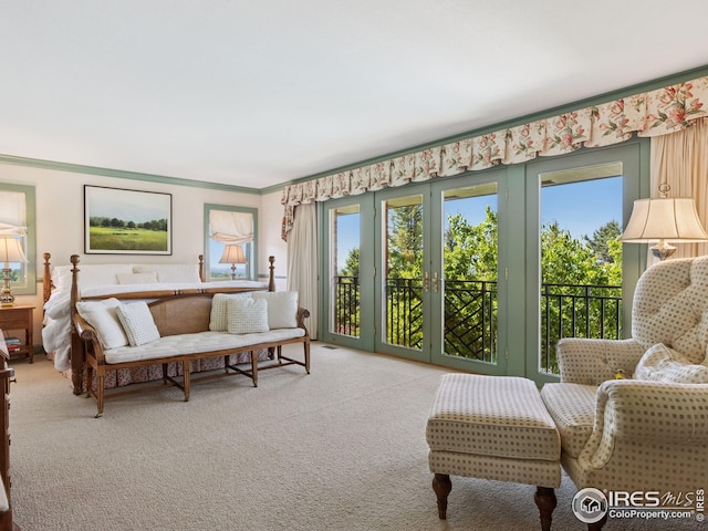 8000 N 41st St, Longmont, CO 80503 - living room with carpet, healthy amount of natural light, and ornamental molding