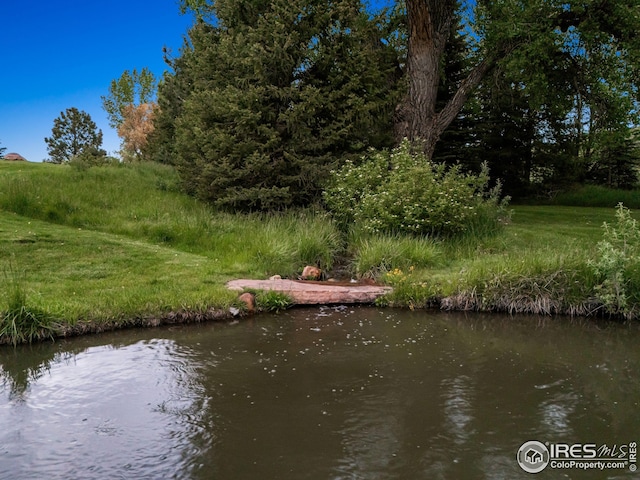 8000 N 41st St, Longmont, CO 80503 - water view