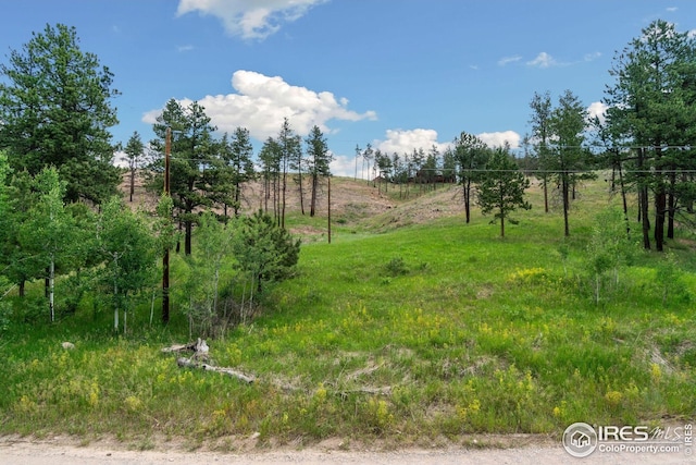 620 Davis Ranch Rd, Bellvue, CO 80512 - view of yard