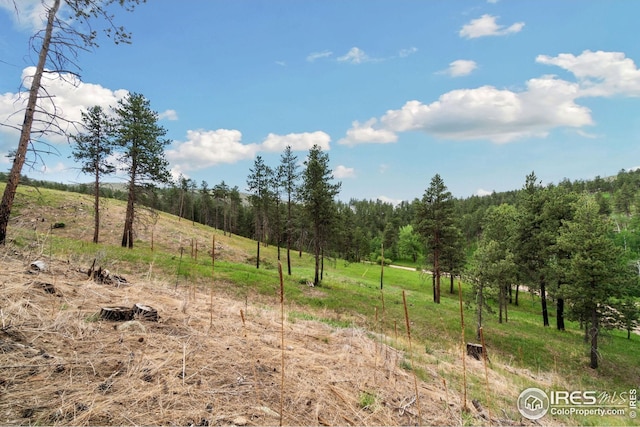 620 Davis Ranch Rd, Bellvue, CO 80512 - view of woods featuring a view of rural / pastoral area