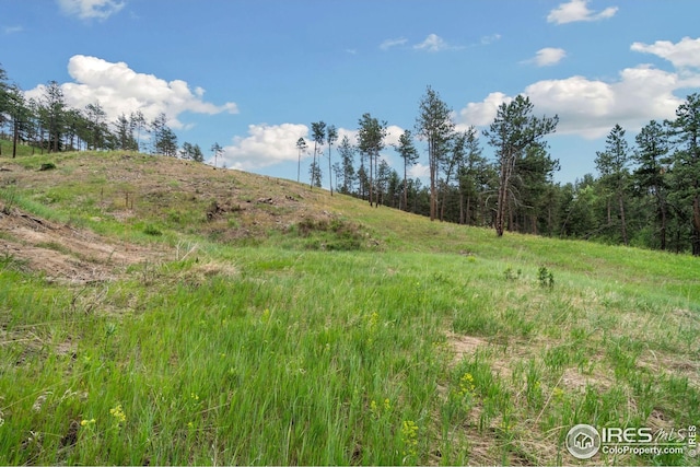 620 Davis Ranch Rd, Bellvue, CO 80512 - view of undeveloped land