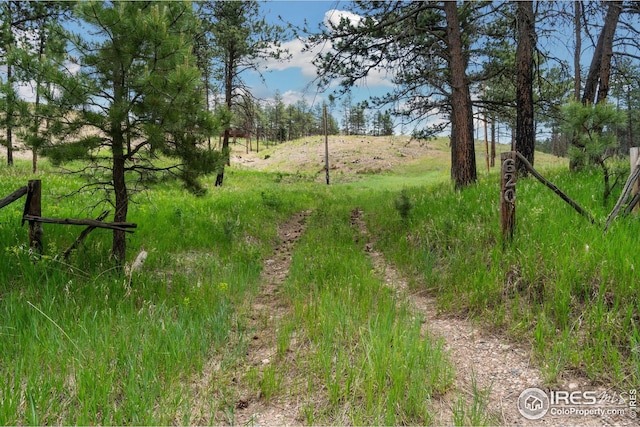 620 Davis Ranch Rd, Bellvue, CO 80512 - view of yard