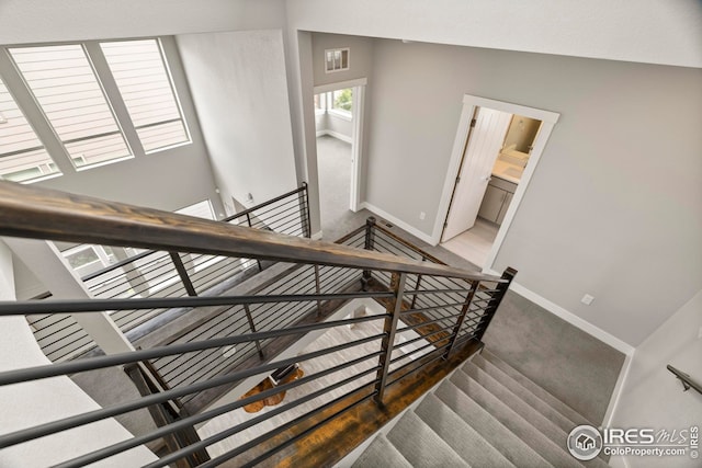 9052 E 47th Ave, Denver, CO 80238 - stairs featuring baseboards and carpet floors