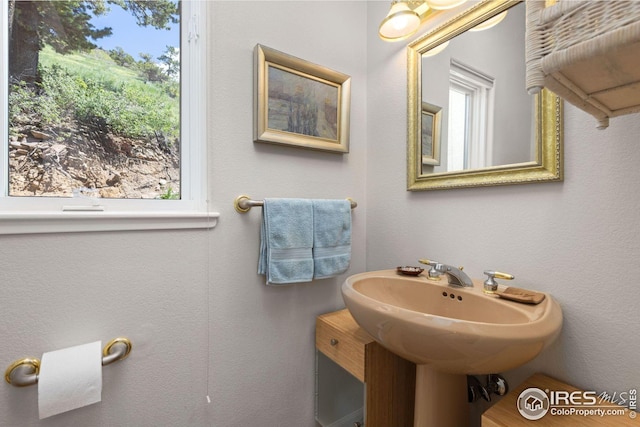 606 Sugarloaf Mountain Rd, Boulder, CO 80302 - bathroom featuring healthy amount of natural light