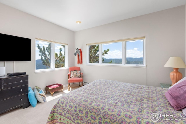 606 Sugarloaf Mountain Rd, Boulder, CO 80302 - carpeted bedroom with baseboards