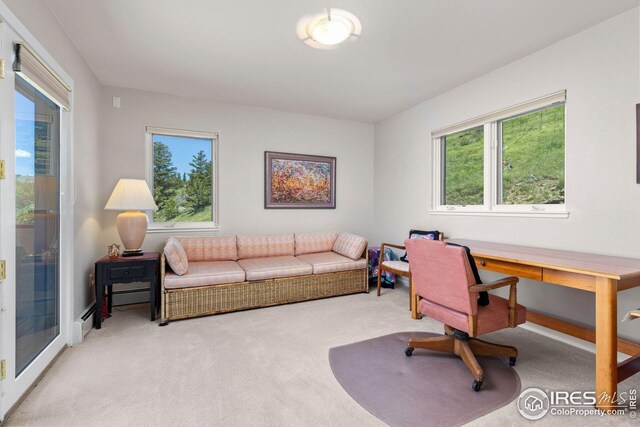 606 Sugarloaf Mountain Rd, Boulder, CO 80302 - carpeted home office featuring healthy amount of natural light