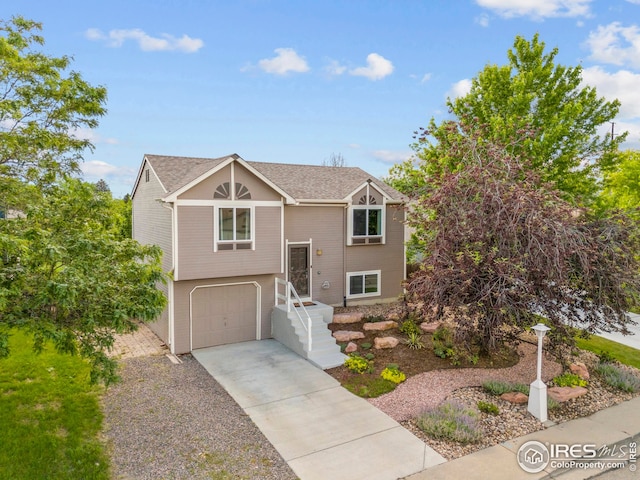 2037 Spencer St, Longmont, CO 80501 - bi-level home with concrete driveway, an attached garage, and roof with shingles