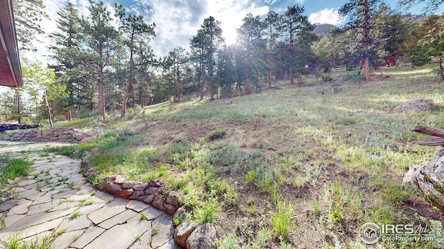 2029 Uplands Cir, Estes Park, CO 80517 - view of yard