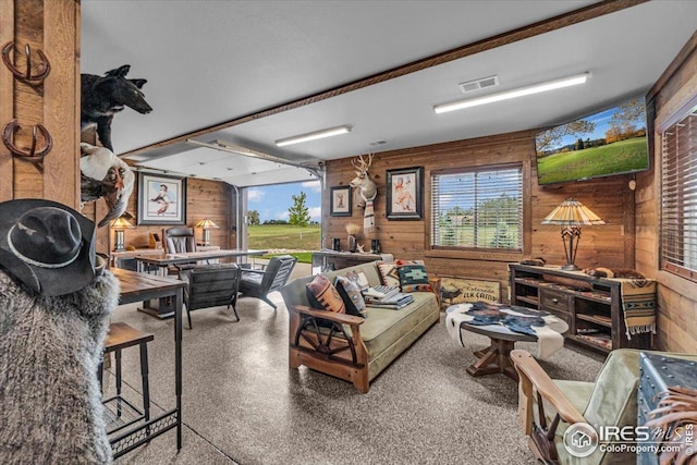 37021 Kingfisher Ct, Severance, CO 80550 - living area with wooden walls, healthy amount of natural light, and speckled floor