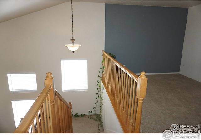 12609 Jersey Cir W, Thornton, CO 80602 - staircase featuring carpet floors and vaulted ceiling