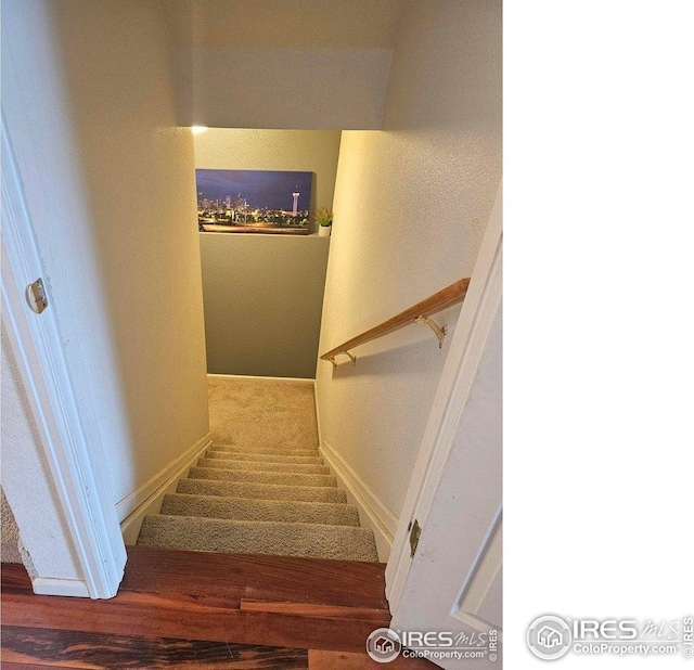 12609 Jersey Cir W, Thornton, CO 80602 - staircase with carpet floors