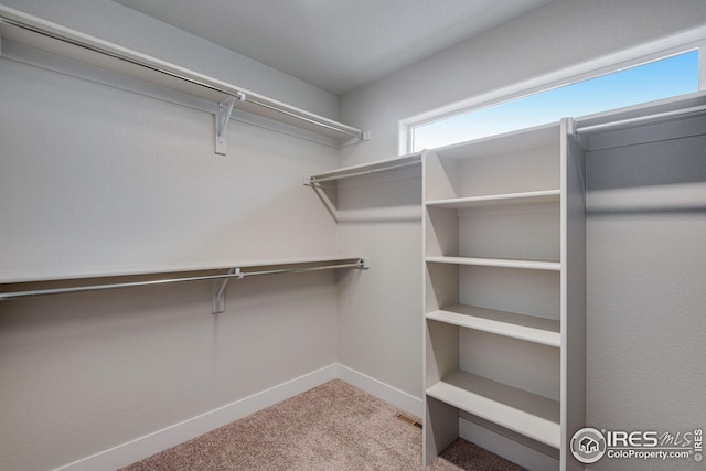 108 Wake St, Frederick, CO 80530 - spacious closet with carpet floors