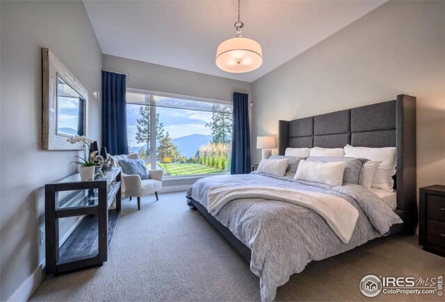 1819 Crisp Air Dr, Windsor, CO 80550
