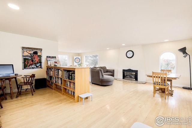 living room with light wood-type flooring