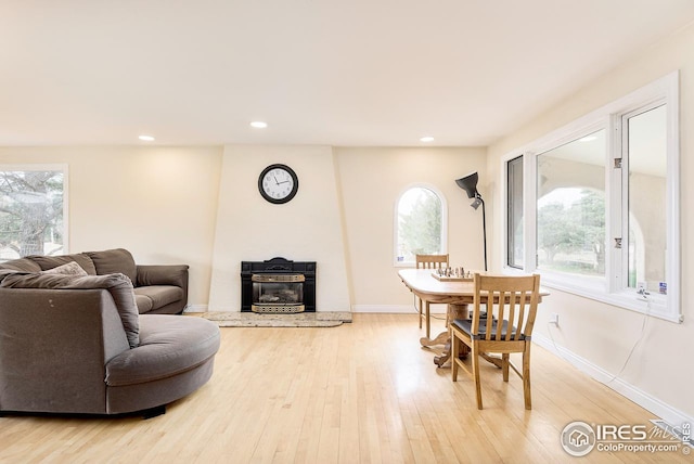 living room with light wood-type flooring and plenty of natural light