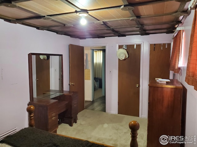 32246 Poudre Canyon Hwy, Bellvue, CO 80512 - carpeted bedroom featuring multiple closets and a baseboard heating unit