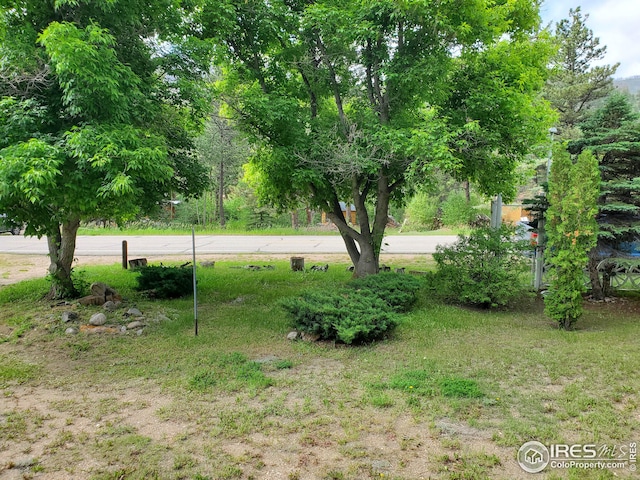 32246 Poudre Canyon Hwy, Bellvue, CO 80512 - view of yard