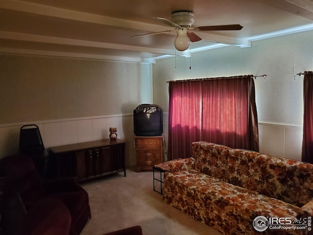 carpeted living room with ceiling fan and beam ceiling