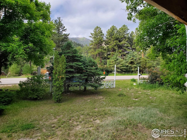 32246 Poudre Canyon Hwy, Bellvue, CO 80512 - view of green lawn with a mountain view