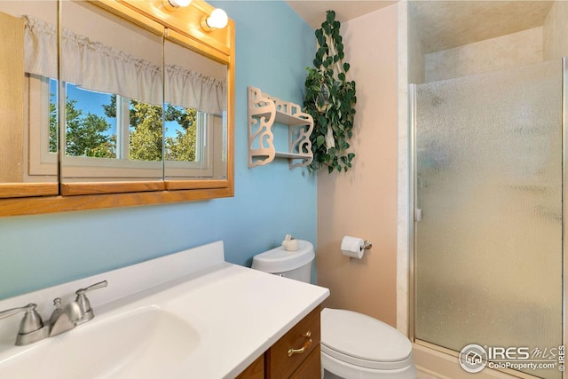 bathroom with vanity, toilet, and a shower with shower door