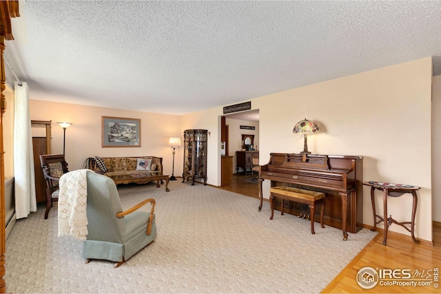 living room with wood-type flooring and a textured ceiling