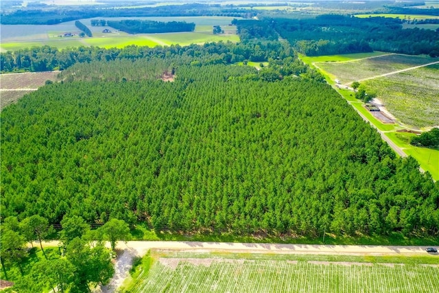 000 County Farm Rd, Blackshear, GA 31516