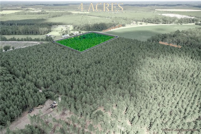 000 County Farm Rd, Blackshear, GA 31516