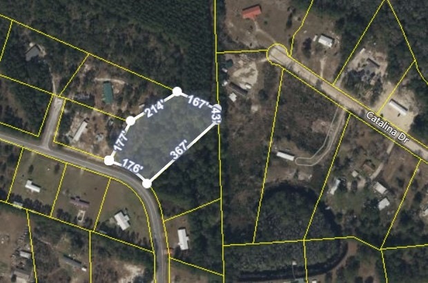 6913 Greenfield Rd, Blackshear, GA 31516