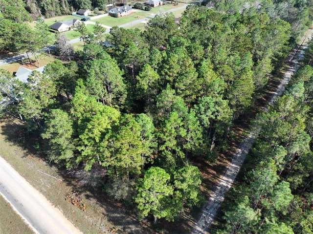 Listing photo 3 for 0 Photonia Ave, Jesup GA 31546