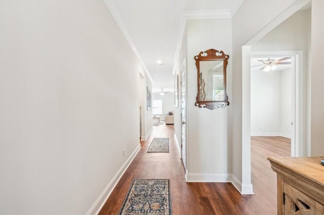 139 Allie Loop, Brunswick, GA 31525 - hallway featuring dark wood-type flooring and ornamental molding