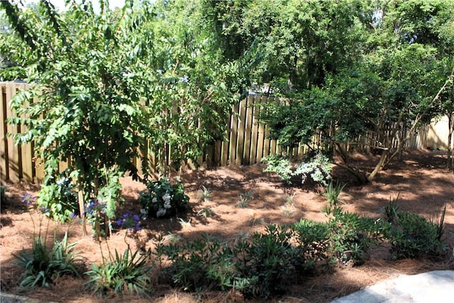 247 Circle Dr, Saint Simons Island, GA 31522 - view of yard