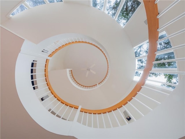 stairway with a high ceiling and a wealth of natural light